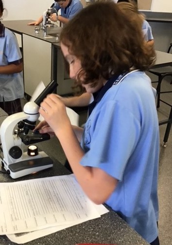 STEM (2) (1).jpg